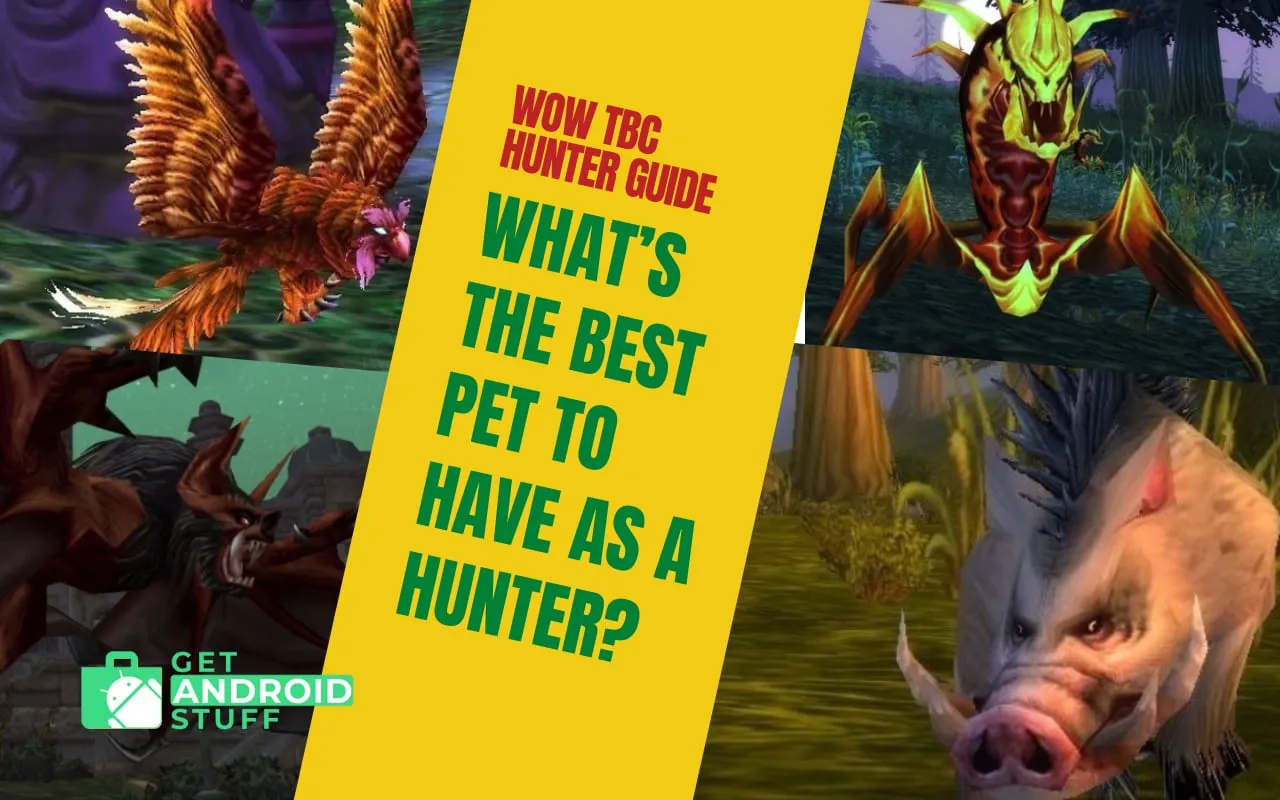 أفضل WoW TBC Hunter Pets