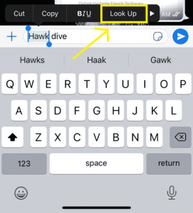 كيفية استخدام القاموس المدمج في iPhone